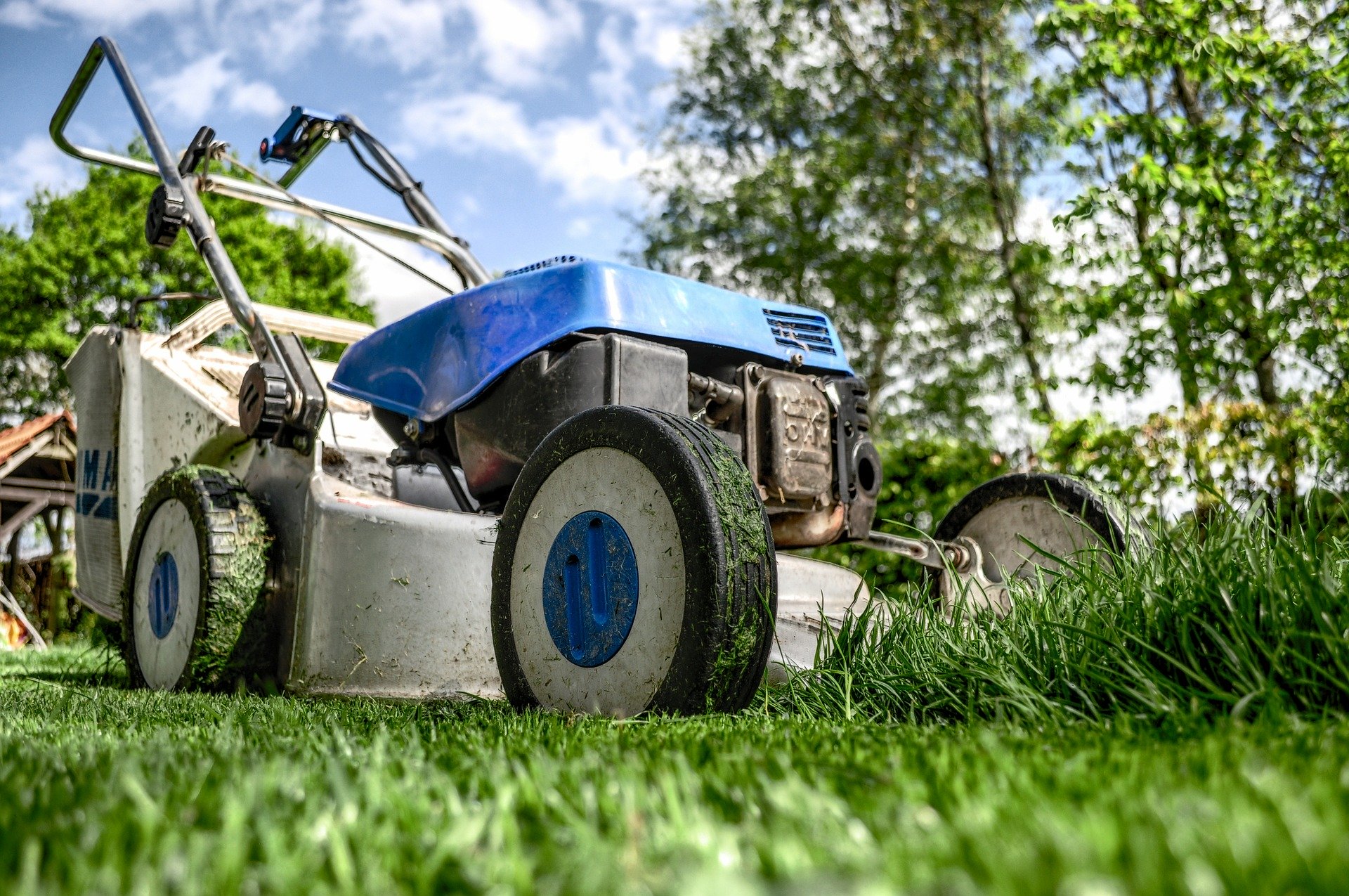 lawn mowers for sale